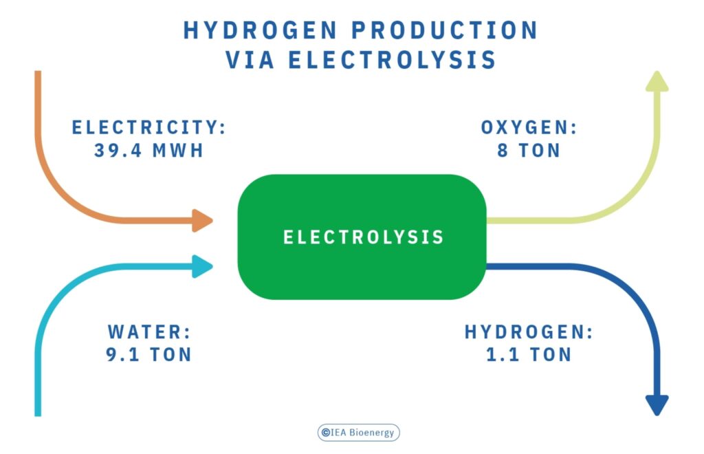 IEA_BIOENERGY_REPORT_chapter_01_01_img_02