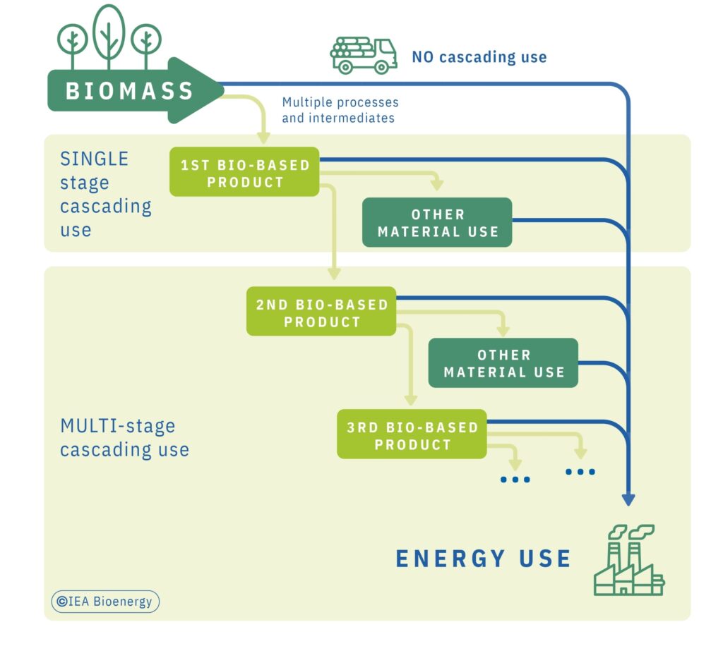 IEA_BIOENERGY_REPORT_chapter_3_2_img_07