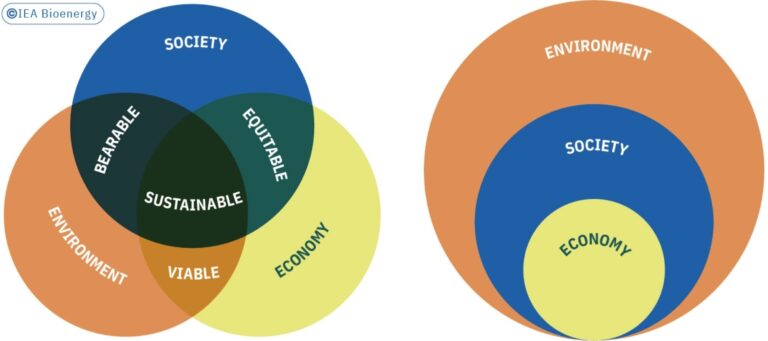 IEA_BIOENERGY_REPORT_chapter_4_1_img_01