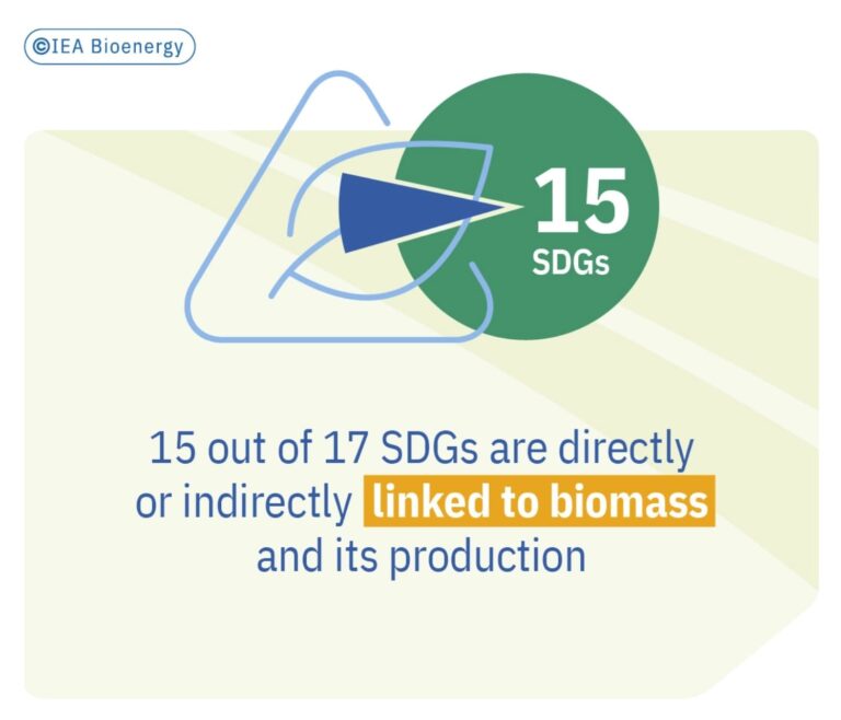 IEA_BIOENERGY_REPORT_chapter_4_2_img_02