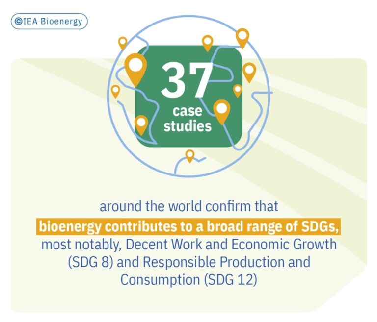 IEA_BIOENERGY_REPORT_chapter_HOME_img_05