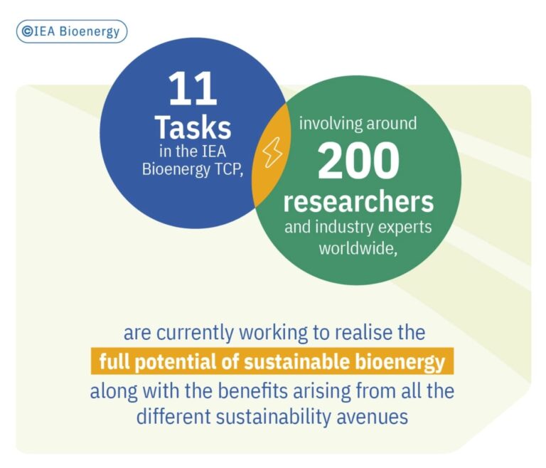 IEA_BIOENERGY_REPORT_chapter_HOME_img_12