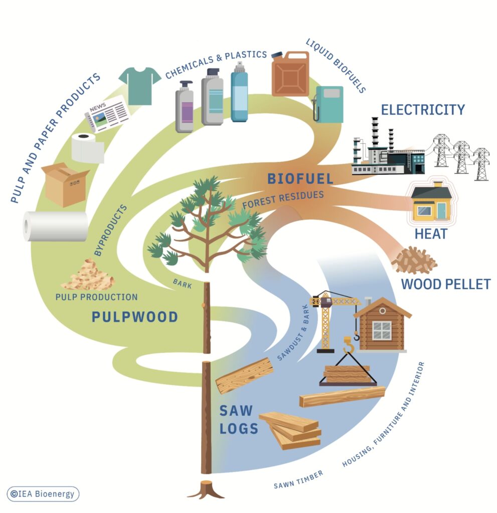 IEA_BIOENERGY_REPORT_chapter_HOME_img_14